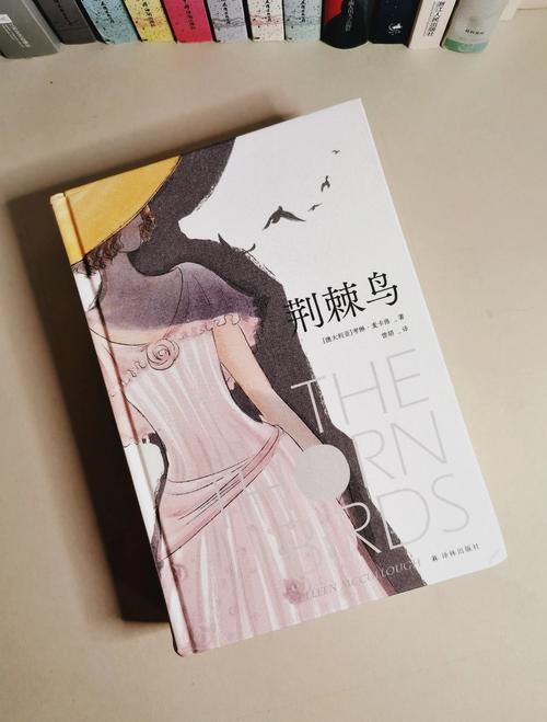少年阿宾全文在线阅读 | 热门小说免费无弹窗