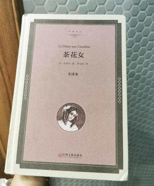 《钢铁是怎样炼成的》在线阅读 | 经典名著无弹窗全文