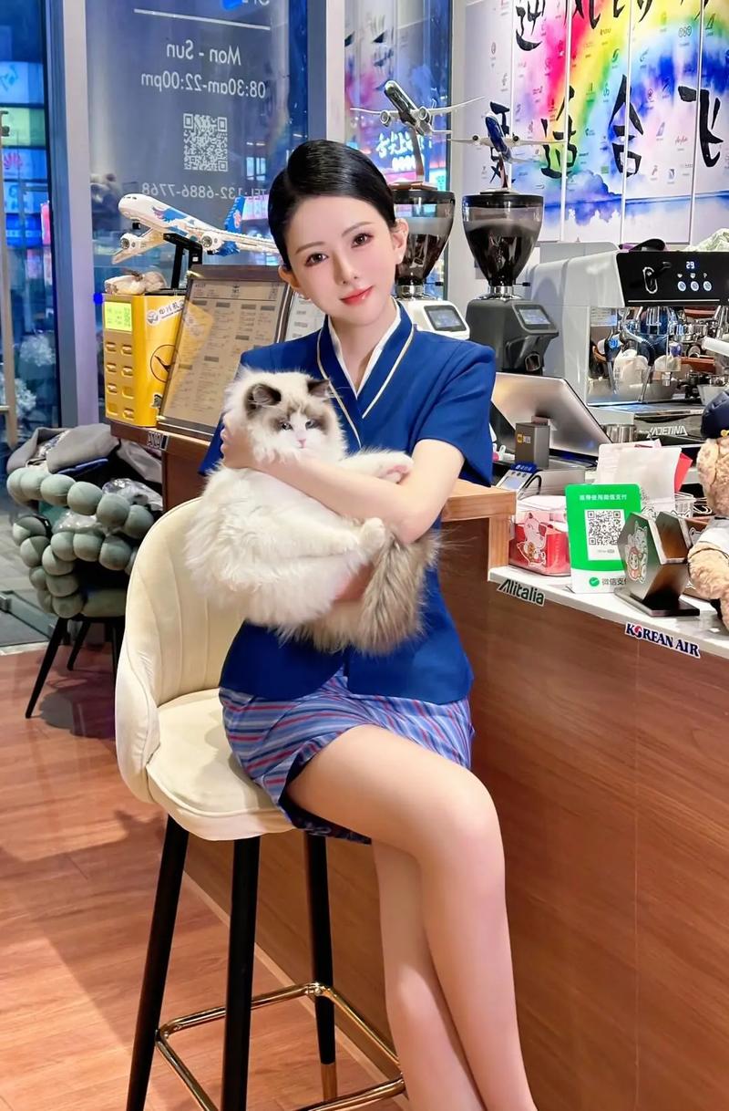 蓝天航空的空姐在线阅读｜完整版小说推荐