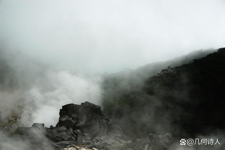 斗罗大陆4终极斗罗在线阅读:唐家三少巅峰续作,魂师宇宙终极之战