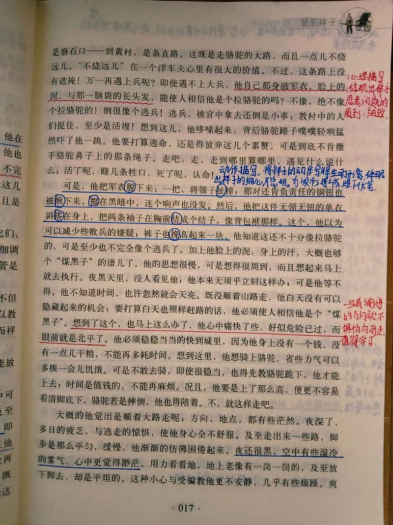 骆驼祥子原著在线阅读 | 老舍经典小说全文免费看