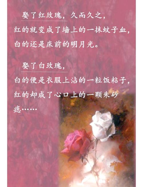 最佳赘婿最新章节免费阅读，叶辰逆袭之路再掀高潮！