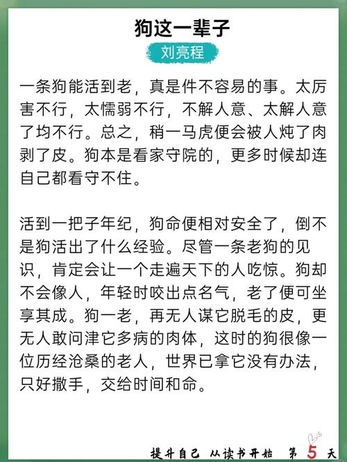 人狗合集全文在线阅读｜精选合集尽享人与狗的温情故事