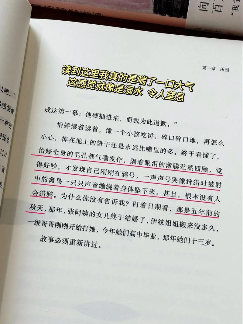 房思琪的初恋乐园全文免费阅读_林奕含经典小说在线阅读