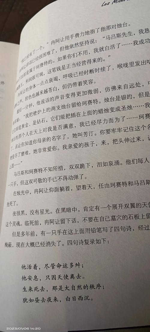 《悲惨世界》在线阅读 | 雨果经典名著全文免费阅读