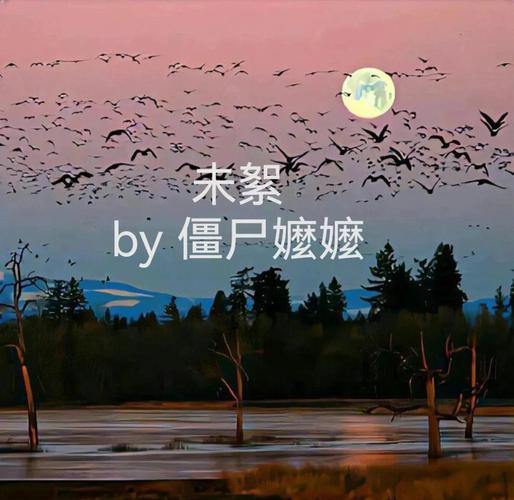 未絮小说全文在线阅读，精彩章节免费阅读