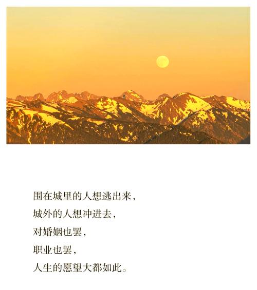 我们的四十年小说全文免费在线阅读