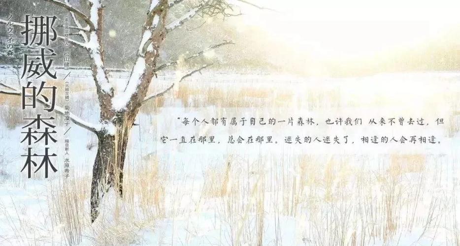 白马啸西风在线阅读 - 金庸经典武侠小说全文免费阅读