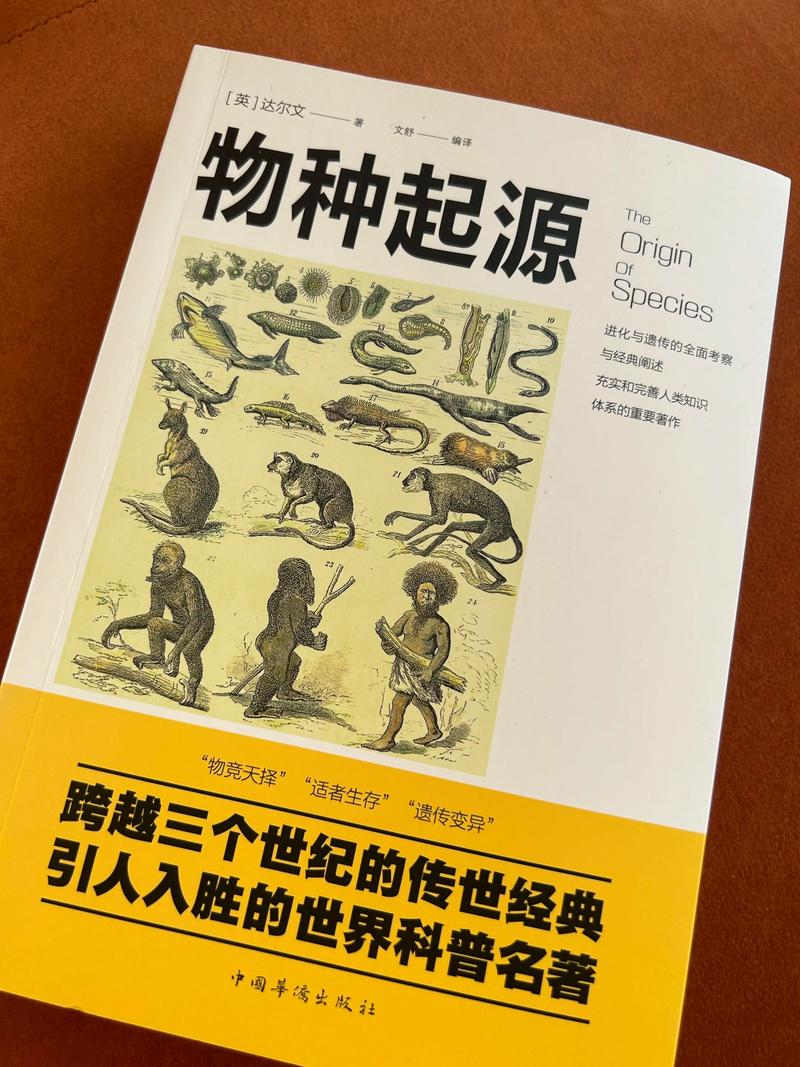 关键对话在线阅读：掌握高效沟通技巧，化解冲突提升影响力