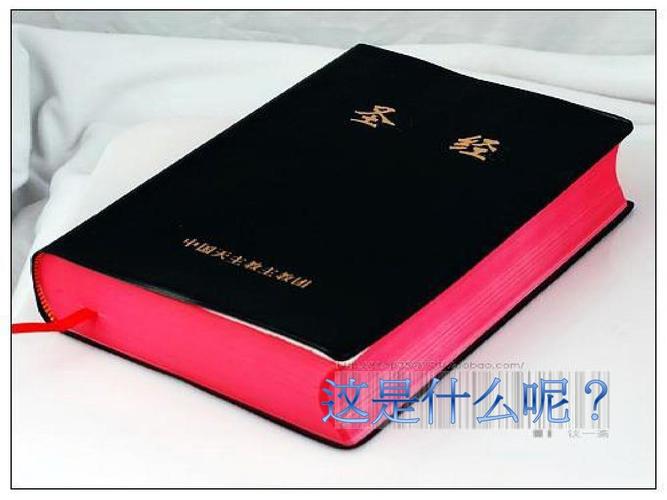 未絮小说全文在线免费阅读 | 未絮最新章节更新