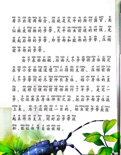 凤囚凰小说在线阅读 | 经典古言权谋爱情