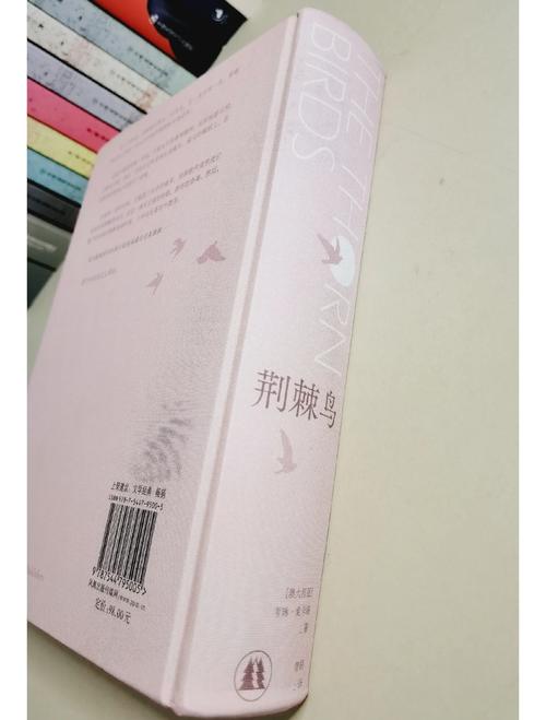 伦理小说在线阅读：深夜独处时必看的禁忌情感故事