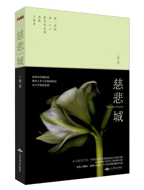 慈悲城全文免费阅读 | 在线小说无弹窗