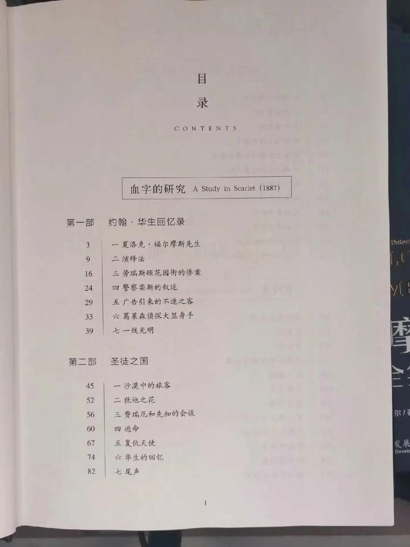 金牌强手全文免费在线阅读 | 最新章节更新