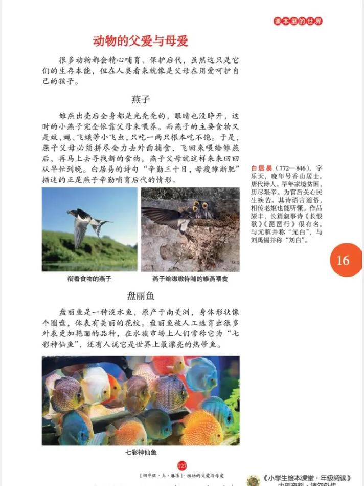 妙医圣手在线阅读免费 | 全本无弹窗