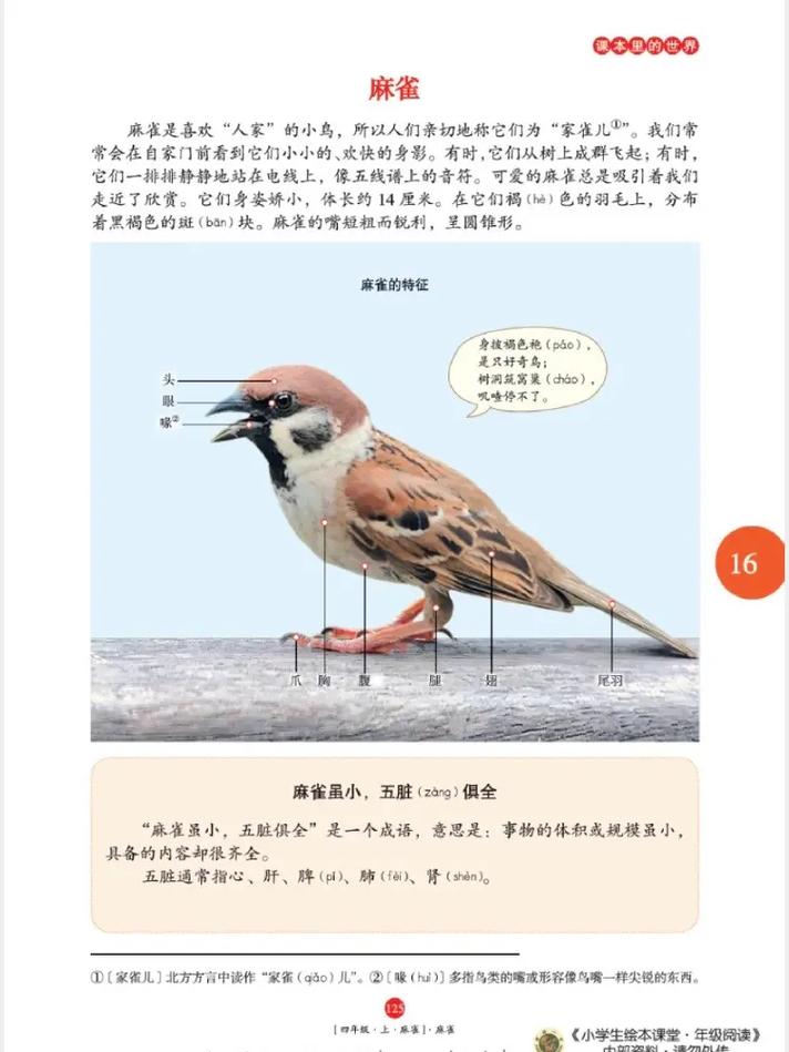 《沙海》在线阅读 | 南派三叔盗墓笔记系列小说全文免费看