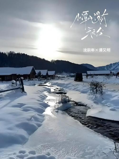 番茄小说免费在线阅读-热门小说全集免费看