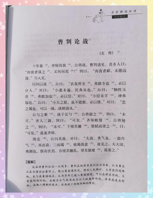 错嫁替婚总裁全文免费阅读，在线阅读完整版无删减