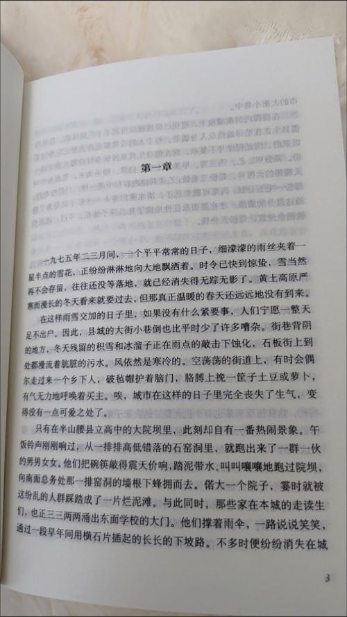 平凡的世界全文免费在线阅读_路遥经典小说