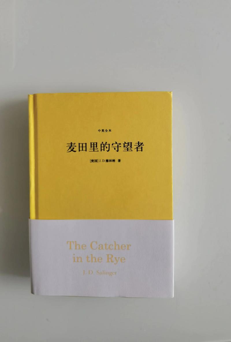 妙医圣手叶皓轩免费阅读全文在线|都市神医逆袭传奇