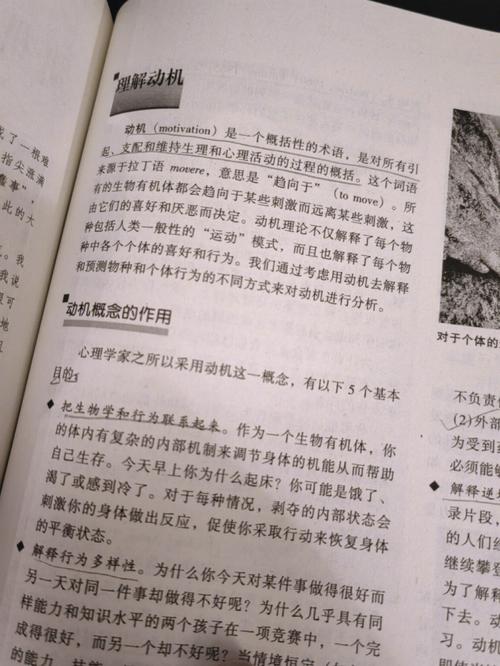 秦岭神树在线阅读 | 盗墓笔记经典章节全文免费看